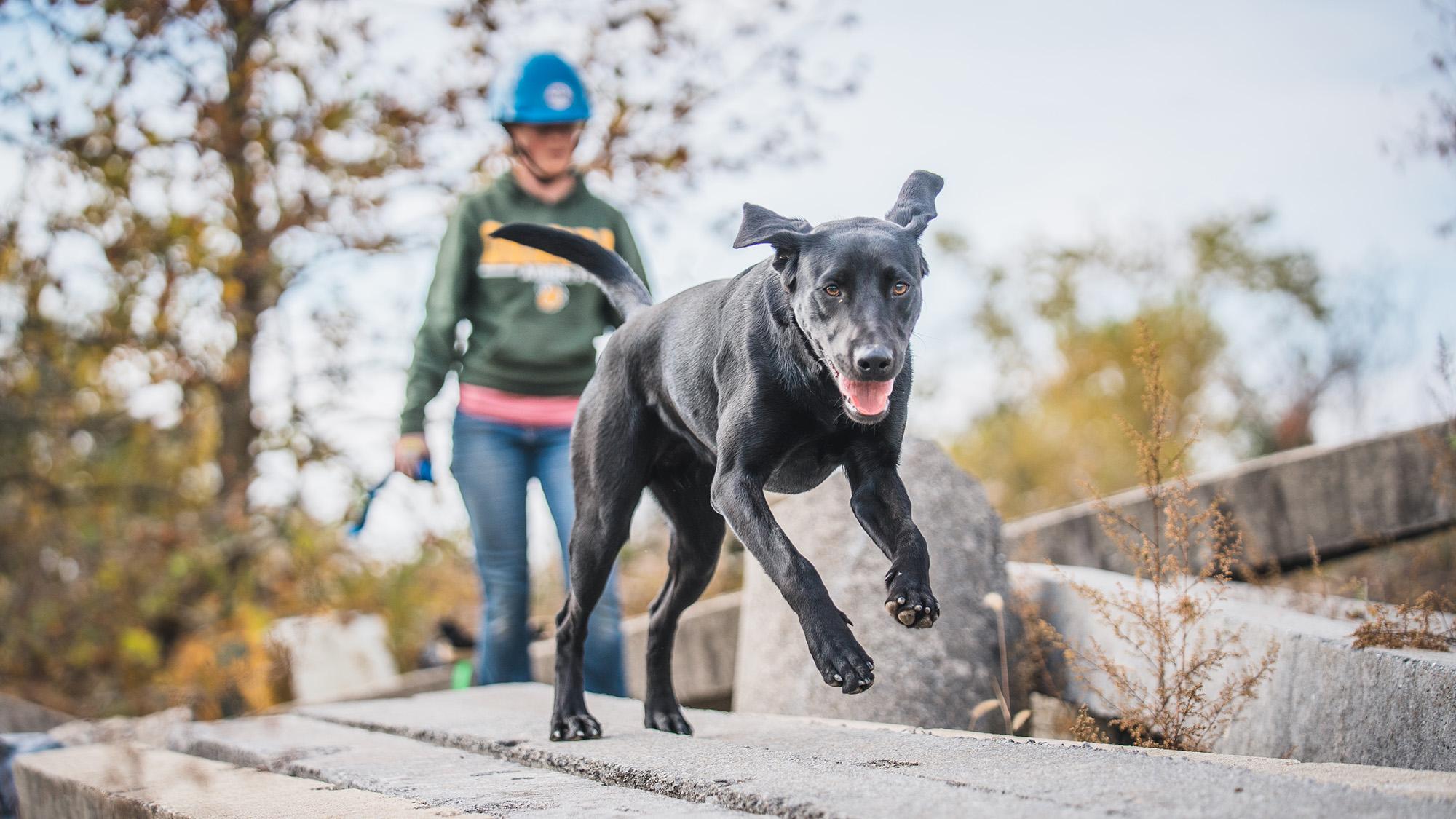 A visit to dog college