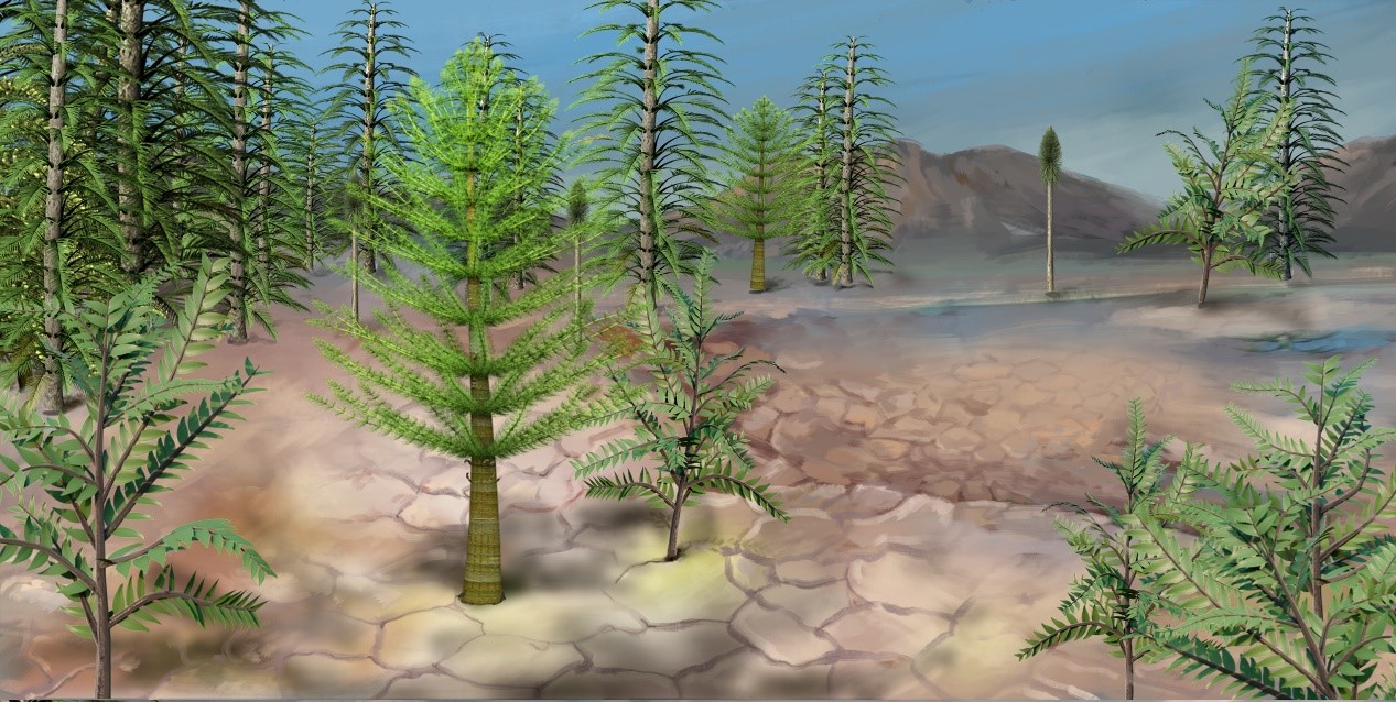 an illustration showing dry earth with plants and trees growing