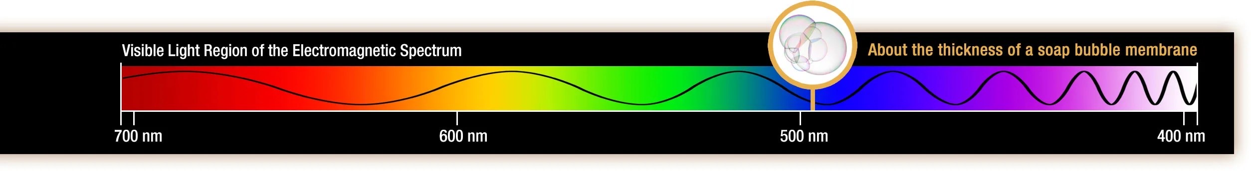 the visible light spectrum with red on the left and purple on the right